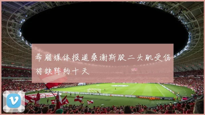 希腊媒体报道桑谢斯股二头肌受伤将缺阵约十天