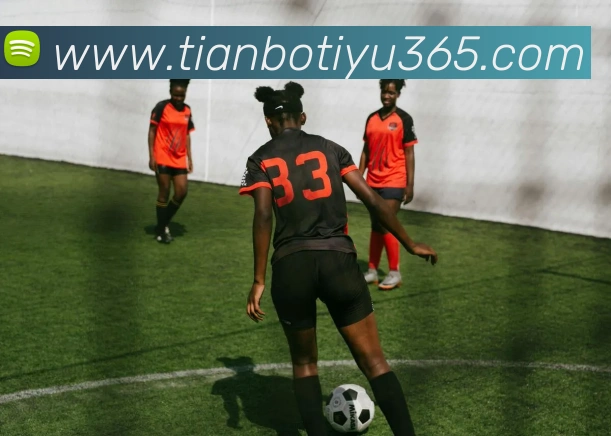 多媒体互动体验